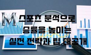 스포츠 분석
