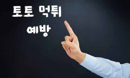토토 먹튀 예방
